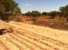 Terrain agrécole