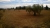 TERRAIN AGRICOL