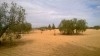 TERRAIN AGRICOL