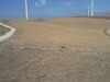 Terrain agricole