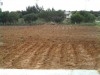 TERRAIN AGRICOLE