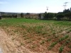 TERRAIN AGRICOLE