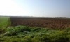 terrain agricole à kalaat el Andalous