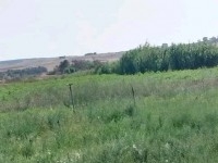 terrain agricole à kélibia