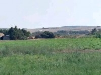terrain agricole à kélibia