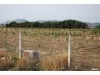 terrain agricole à vendre