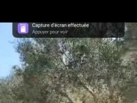 terrain agricole à vendre