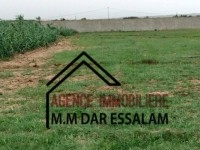 terrain agricole à vendre