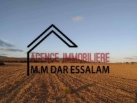 terrain agricole à vendre