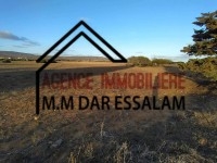 terrain agricole à vendre