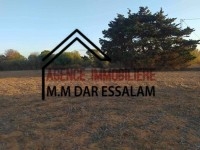terrain agricole à vendre