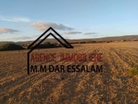 terrain agricole à vendre