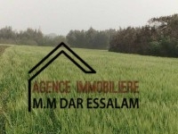 terrain agricole à vendre