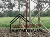 terrain agricole à vendre