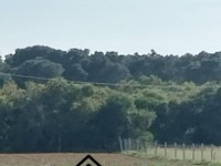 terrain agricole à vendre