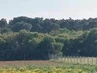 terrain agricole à vendre