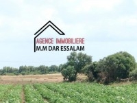 terrain agricole à vendre