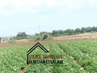 terrain agricole à vendre