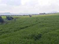 terrain agricole à vendre
