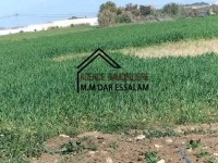 terrain agricole bien équipée