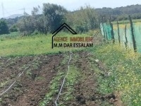 terrain agricole bien équipée