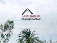 terrain agricole contenant une villa