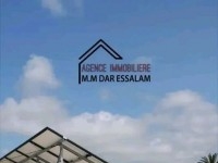 terrain agricole contenant une villa