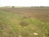 très beau terrain agricole de 6 ha à Gonnara