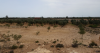 Terrain agricole entre Kalaa Sghira Ennagr