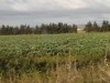 terrain agricole fertile 