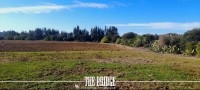 Terrain Agricole nu de 13 977 m² à Bou Argoub