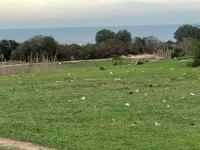 terrain agricole près de la mer