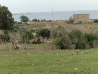 terrain agricole près de la mer