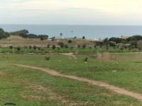 terrain agricole près de la mer