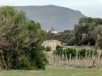 terrain agricole près de la mer