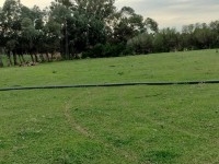 terrain agricole près de la mer