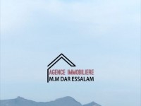 terrain agricole près de la mer