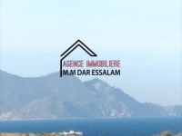 terrain agricole près de la mer