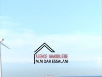 terrain agricole près de la mer