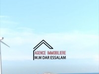 terrain agricole près de la mer