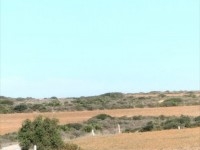 terrain agricole près de la mer