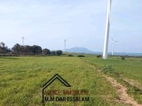 terrain agricole près de la mer