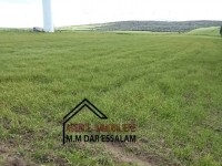 terrain agricole près de la mer