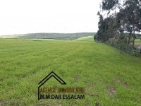 terrain agricole près de la mer