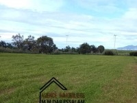 terrain agricole près de la mer