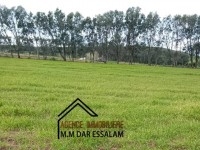 terrain agricole près de la mer