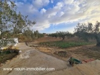 TERRAIN ANNA Hammamet Birbouregba Latrach I T1075