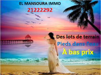 terrain au bord de mer à bas prix