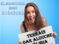 terrain avec un prix choc