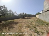 Terrain Azza T1020 Hammamet Mrezka 